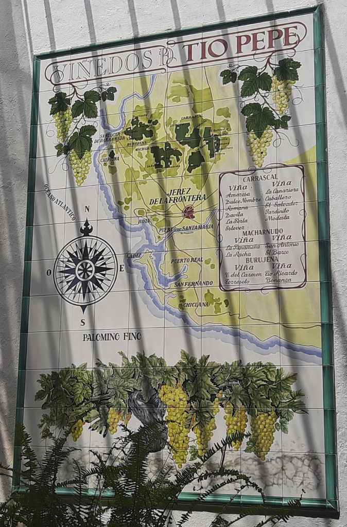 Zdejší bílé hrozny se pěstují na vinicích mezi Jerezem a Sevillou