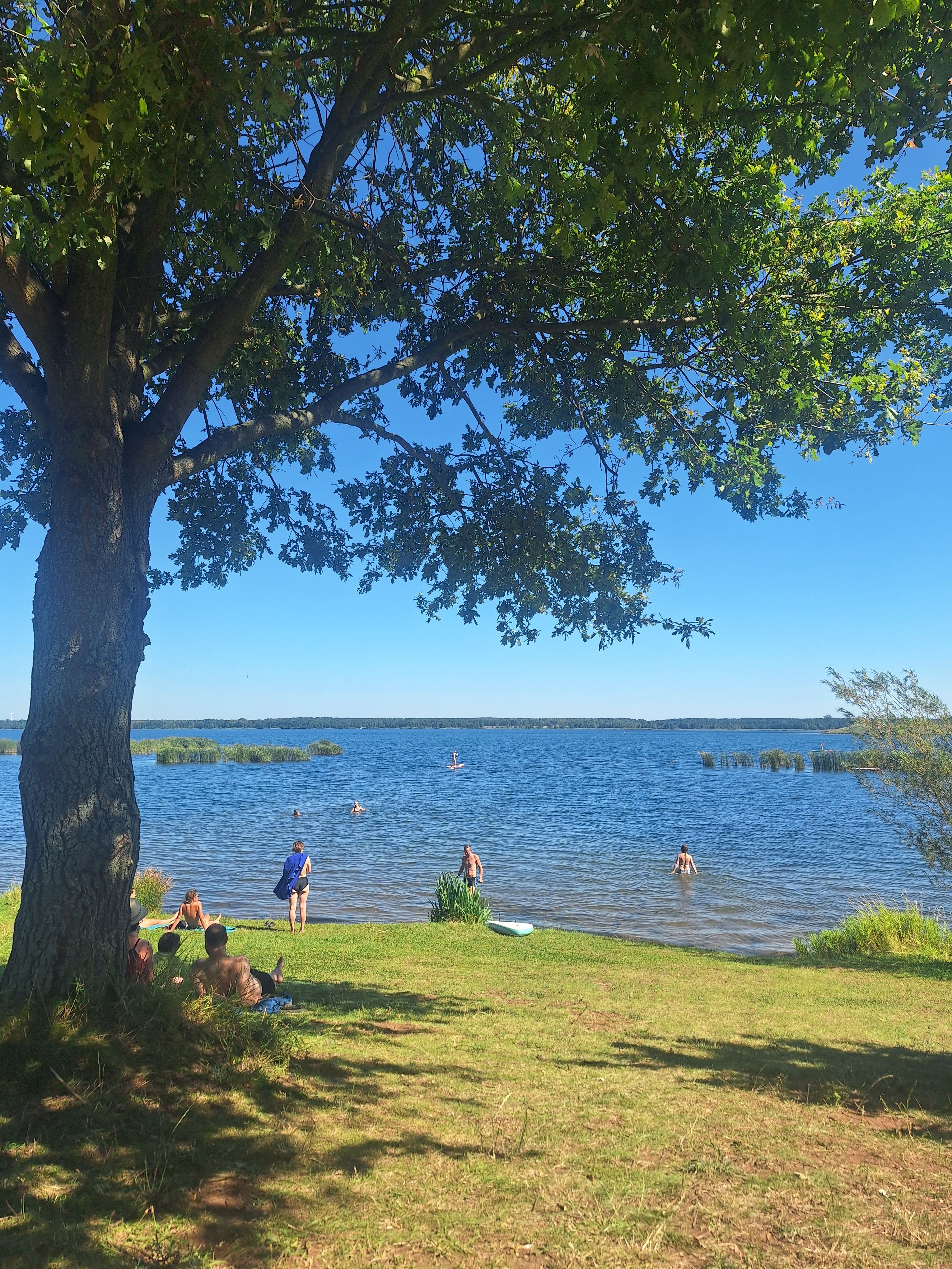 Poklidné, až letně ospalé Grübendorfer See