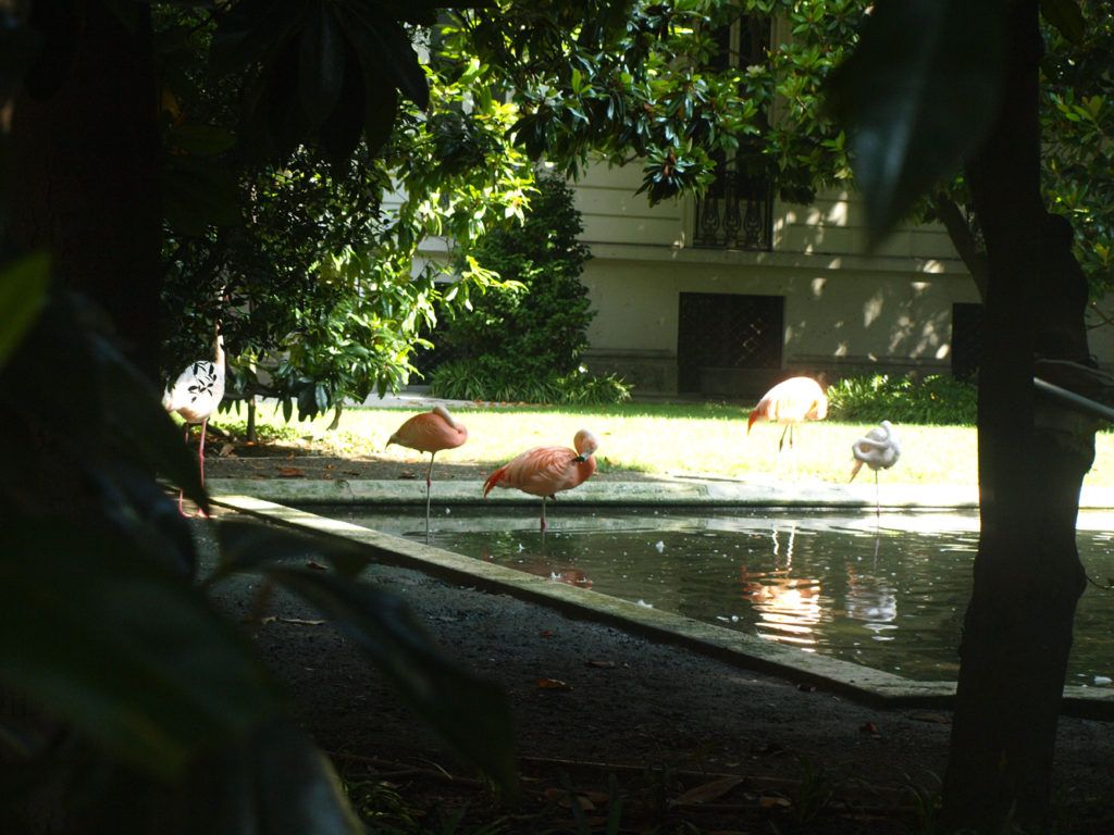 Želvy v parcích byly vlastně dost všední zážitek oproti těmhle krasavcům.