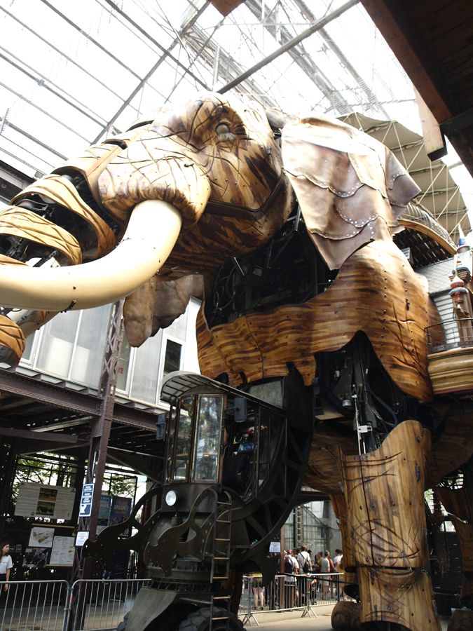 Slon ve stáji, nabírá sílu na další obchůzku ostrova