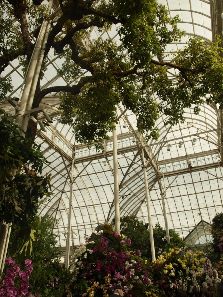 Netušila jsem, že si z New Yorku dovezu takových fotek kytek…