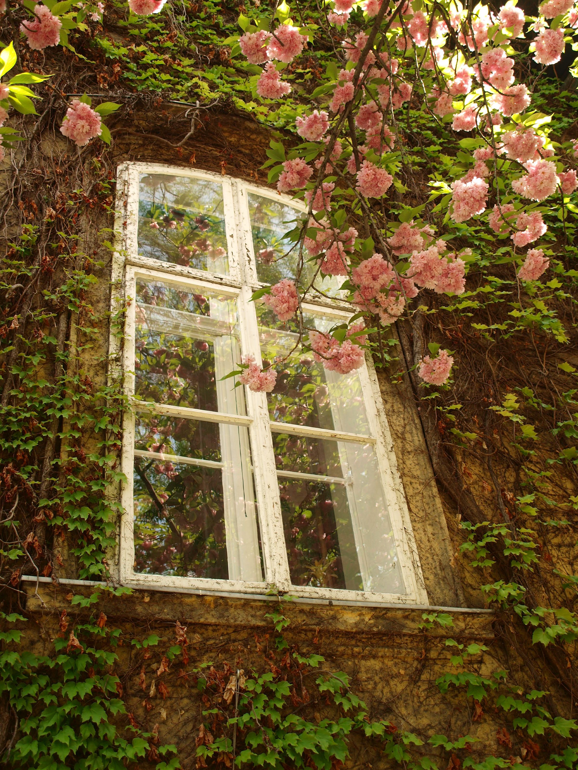 Botanická zahrada ELTE