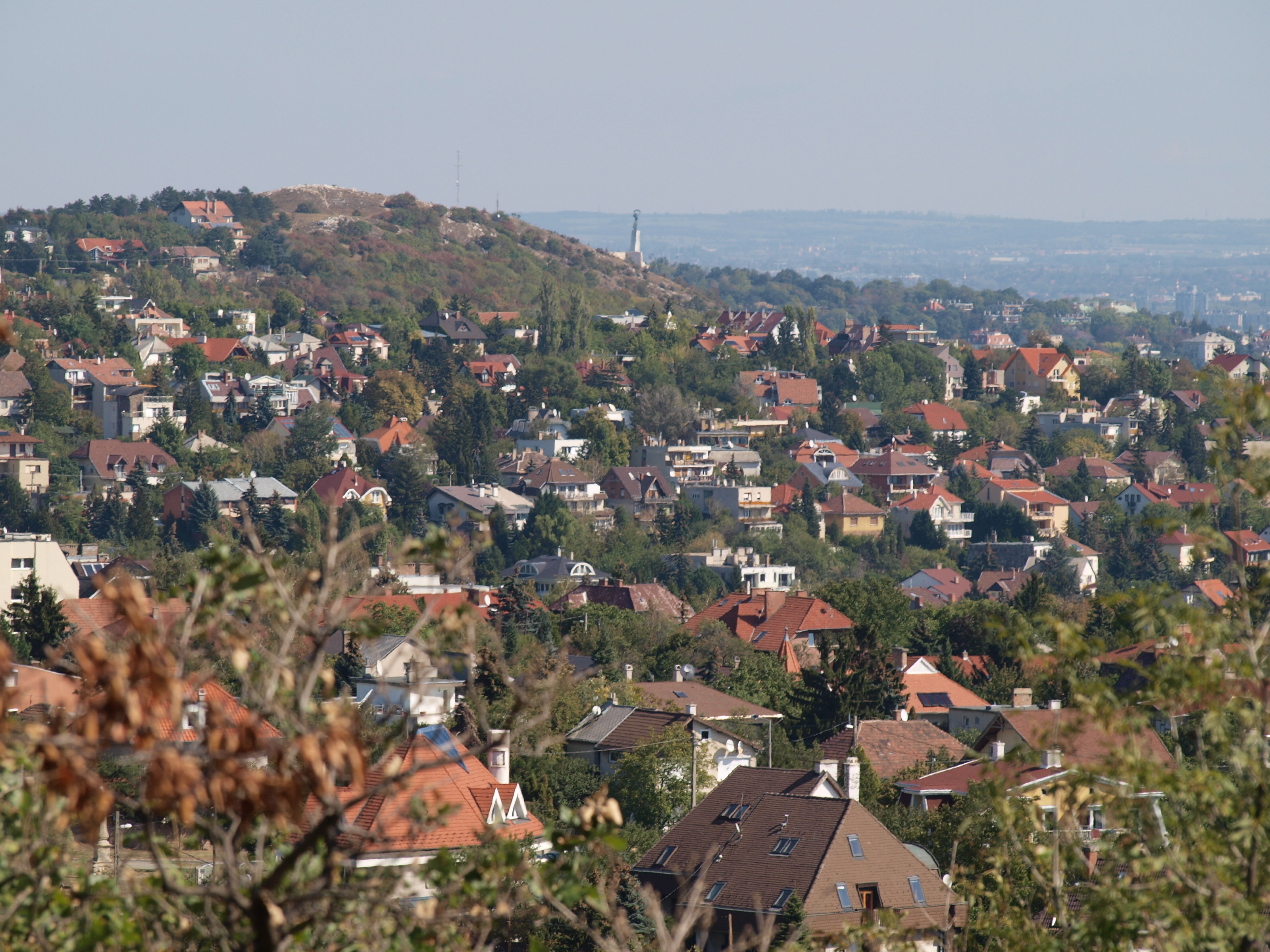 Příroda ve městě