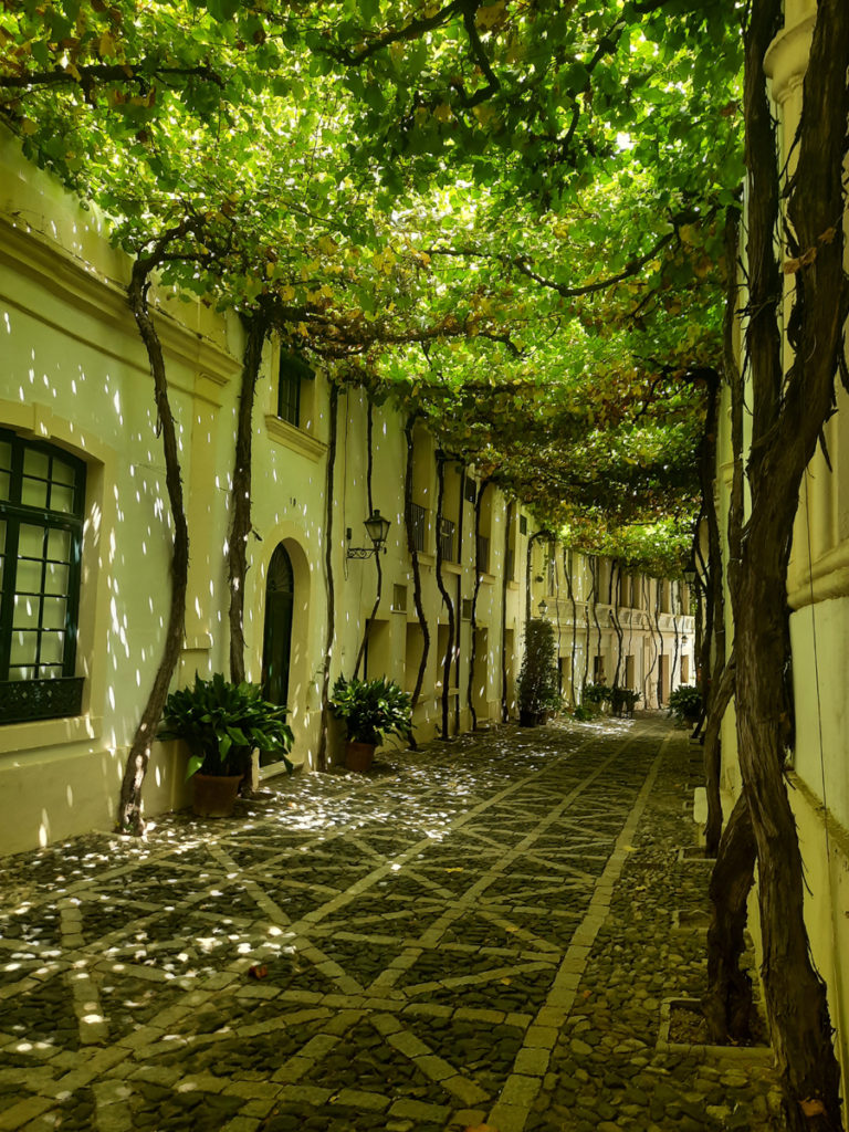 Viva la bodega aneb 5 + 1 zajímavostí