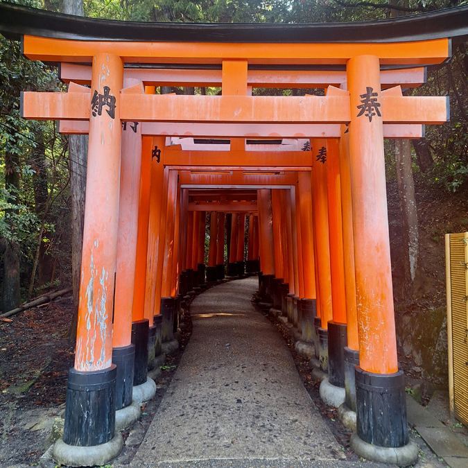 Japonská ochutnávka