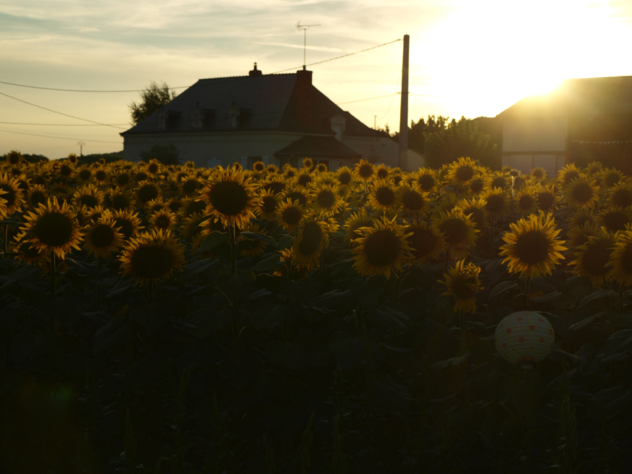 Vzpomínky na Francii